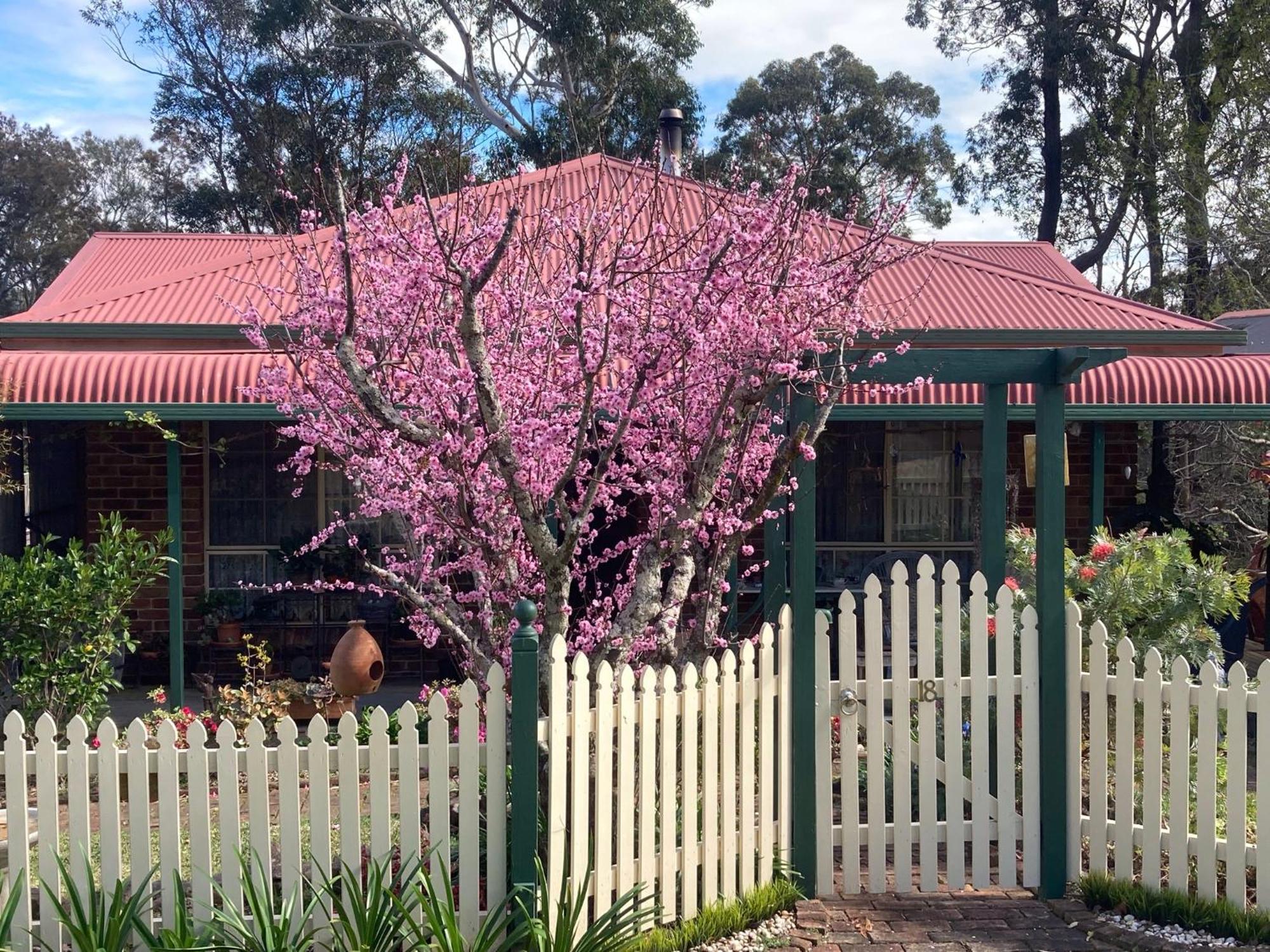 Blue Gum Cottage On Bay Bensville 외부 사진