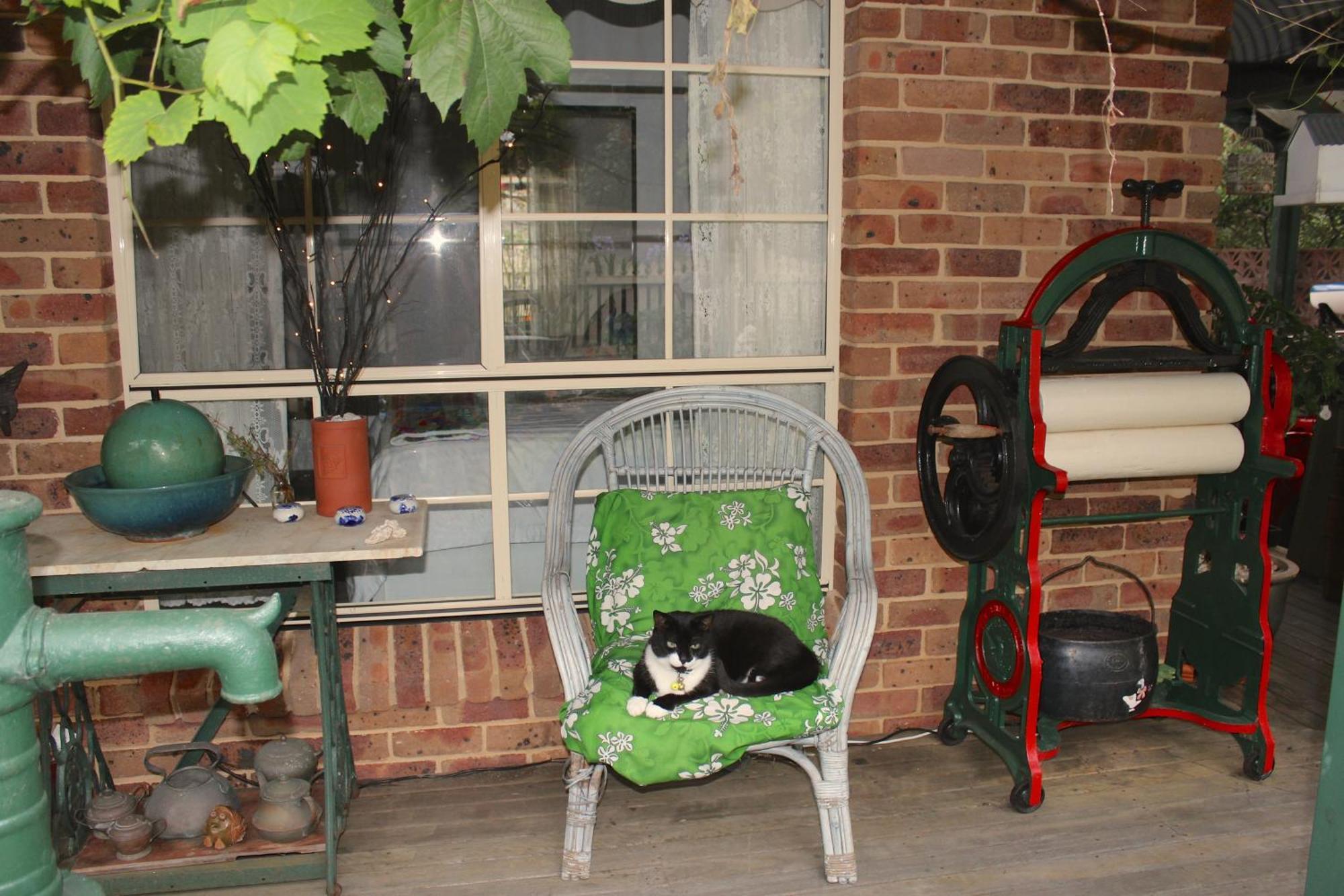 Blue Gum Cottage On Bay Bensville 외부 사진