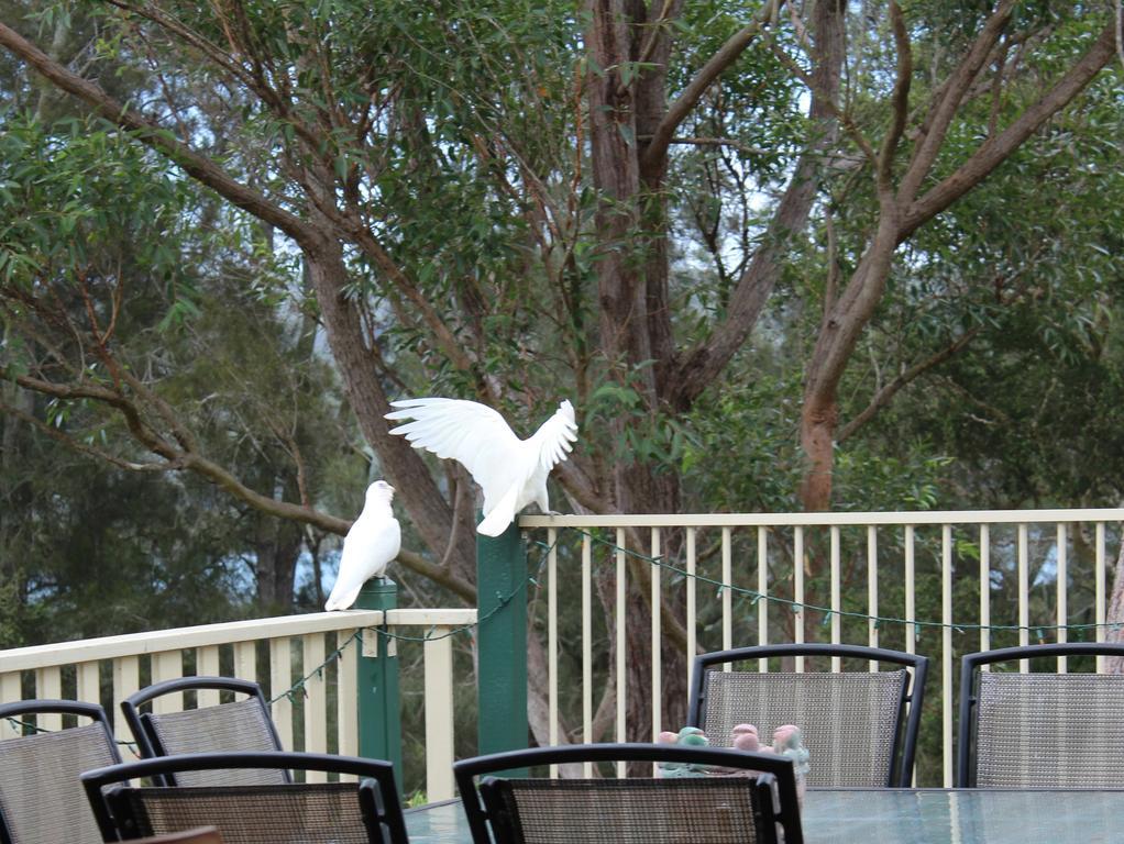Blue Gum Cottage On Bay Bensville 외부 사진